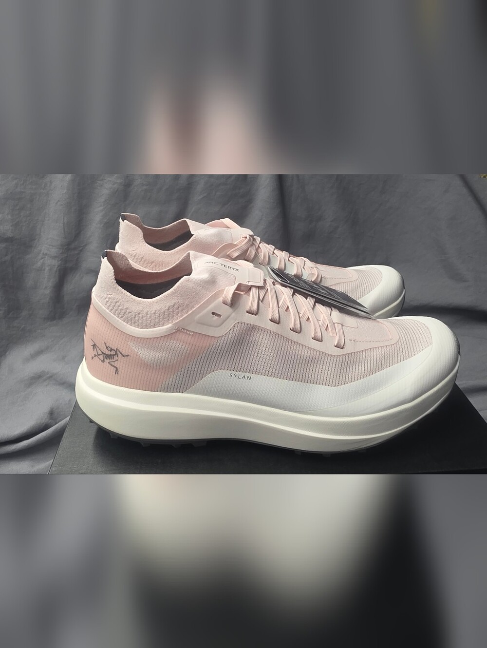 Arc'teryx Sylan W Shoes Alpine Rose Arctic Silk NWB Women Size 8.5 Or 9